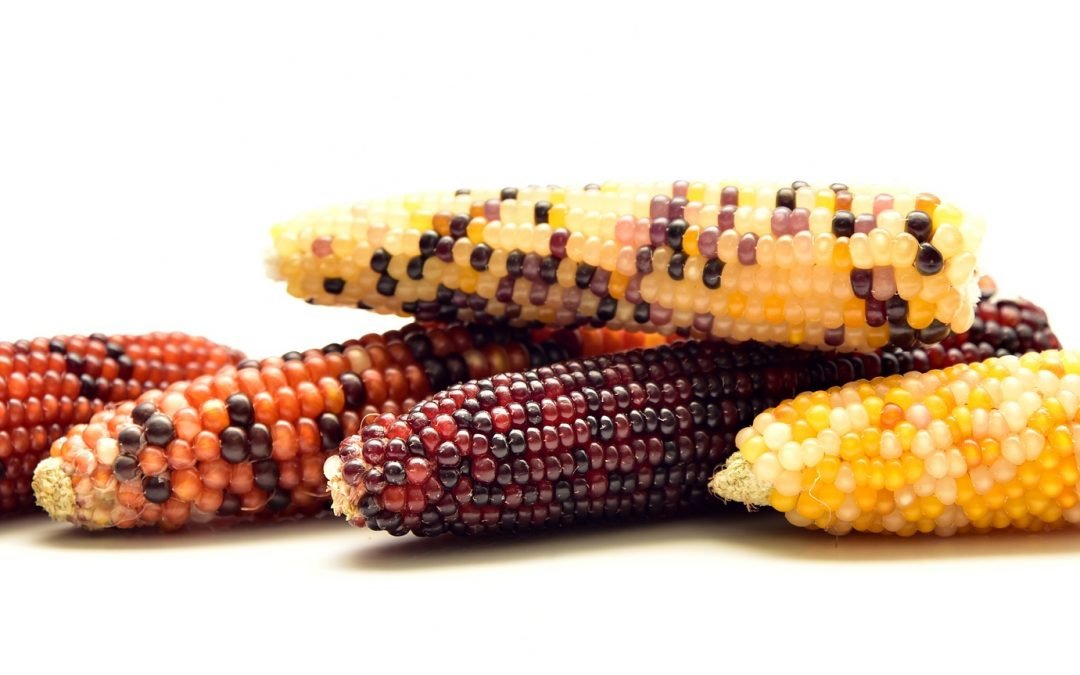 ¿Como hacer masa de nixtamal?